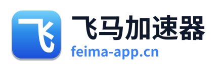 飞马加速器 Logo